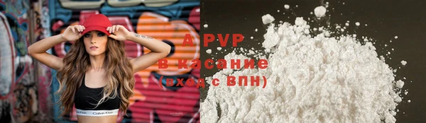 прущие грибы Белокуриха