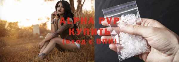 стаф Беломорск