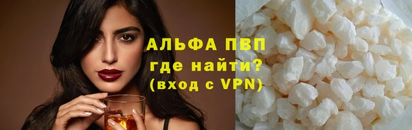 прущие грибы Белокуриха