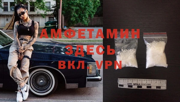 прущие грибы Белокуриха