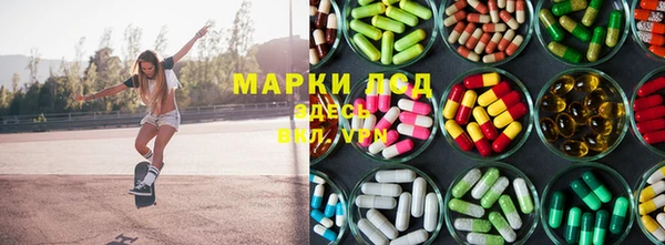 стаф Беломорск