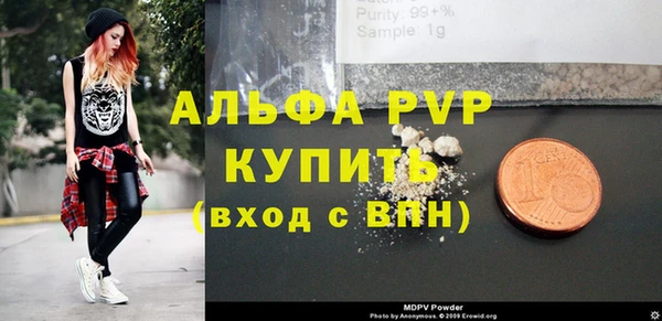 прущие грибы Белокуриха