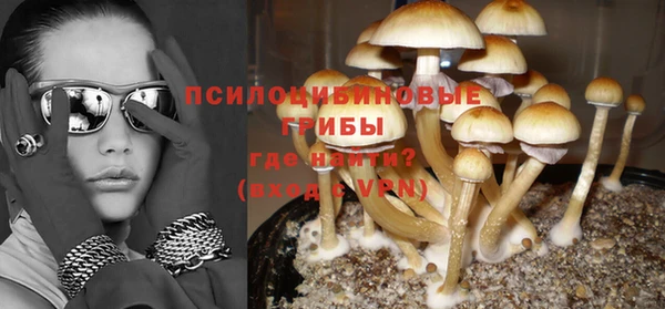 стаф Беломорск