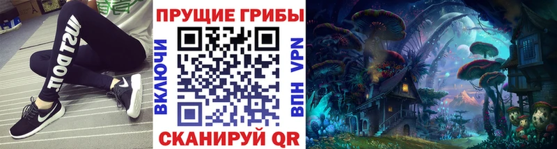 наркотики Онега Галлюциногенные грибы мицелий